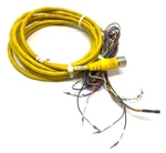 Allen Bradley 889m-f12ah-10 Ser. A Single Ended Cordset M23 12-pin 18' Length. Fixed Price $97.19.