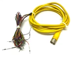 Allen Bradley 889m-f12ah-10 Ser. A Single Ended Cordset M23 12-pin 15' Length. Fixed Price $87.29.